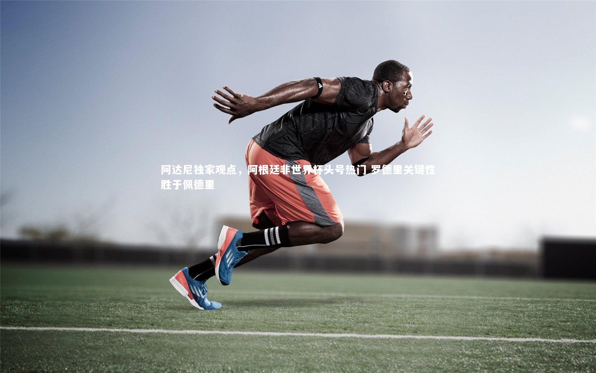 爱游戏体育：阿达尼独家观点，阿根廷非世界杯头号热门 罗德里关键性胜于佩德里