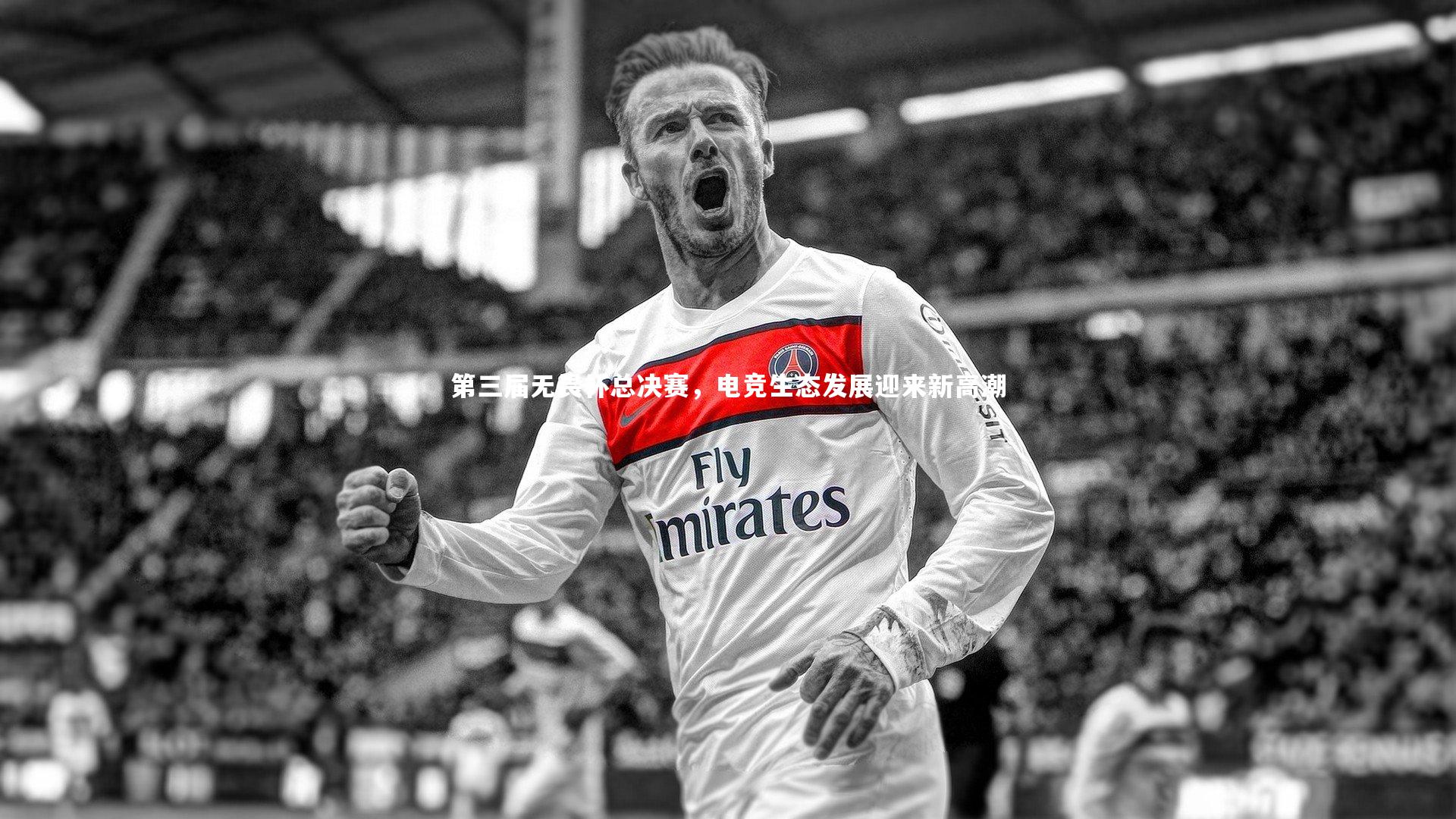 第三届无畏杯总决赛,电竞生态发展迎来新高潮